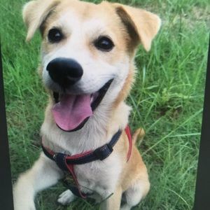 Meet your Posher, Malia